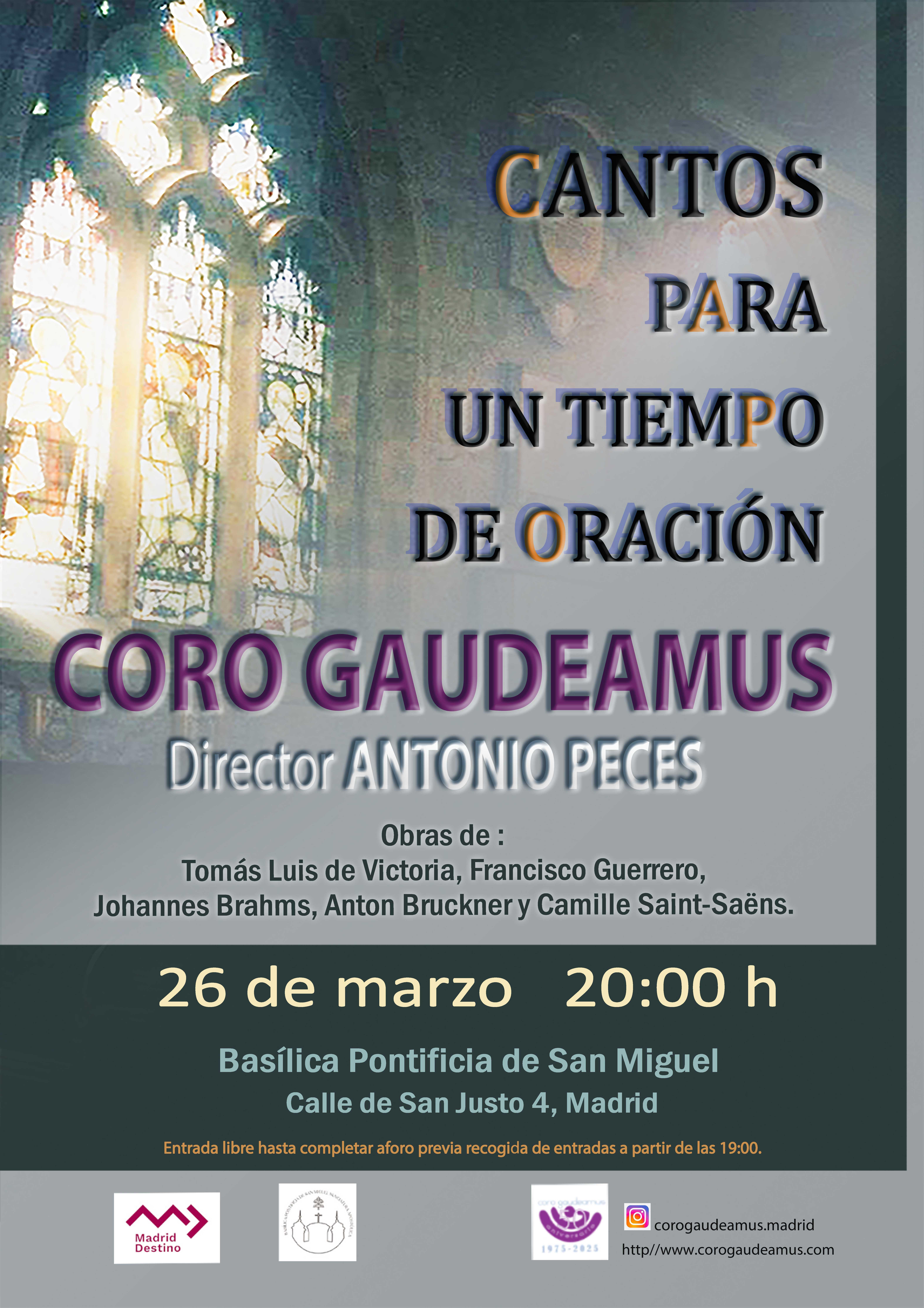 Concierto en la Bas&iacute;lica Pontificia de San Miguel