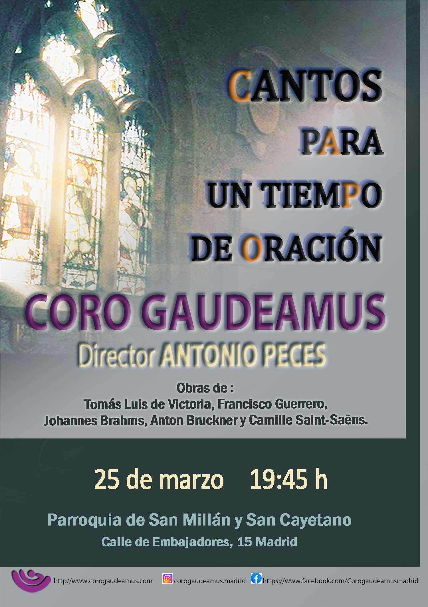 Concierto en San Mill&aacute;n y San Cayetano